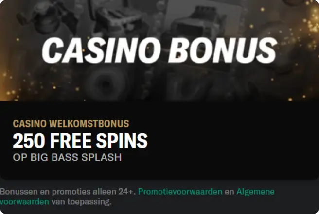 Casino Bonus